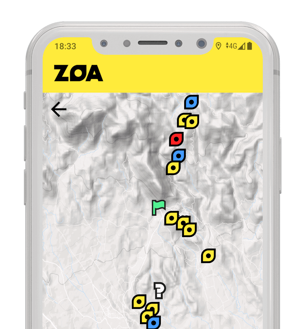 Zoa Mockup